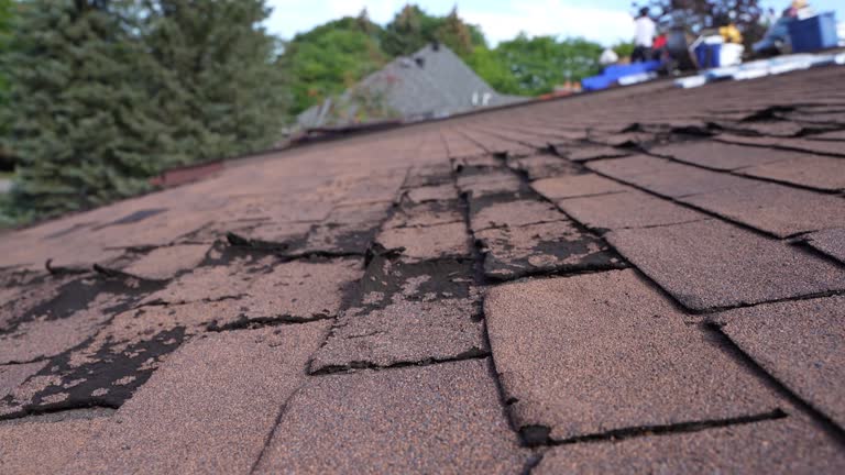 Best Roofing for New Construction  in Coal City, IL