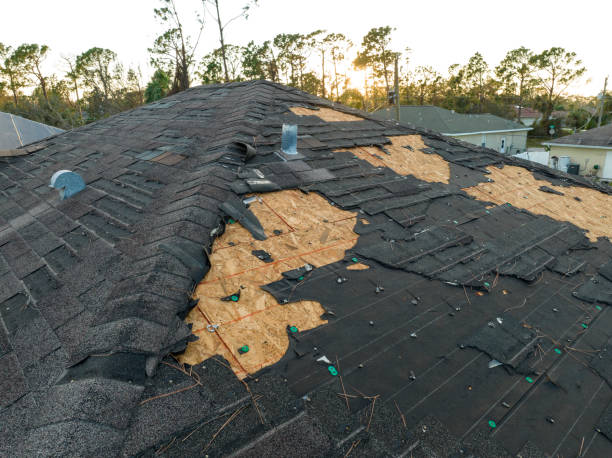 Best Slate Roofing  in Coal City, IL