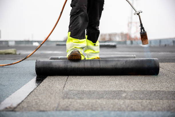 Best Storm Damage Roof Repair  in Coal City, IL