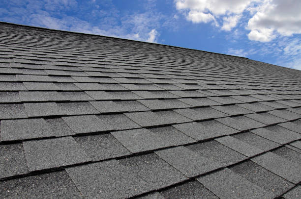 Best Roof Moss and Algae Removal  in Coal City, IL