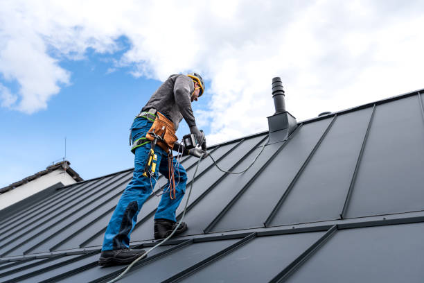 Best Metal Roofing Installation  in Coal City, IL
